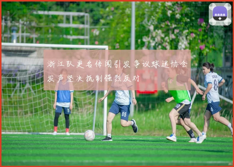 浙江队更名传闻引发争议球迷协会发声坚决抵制强烈反对